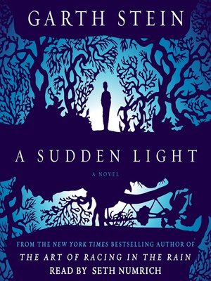 cover image of A Sudden Light: a Novel